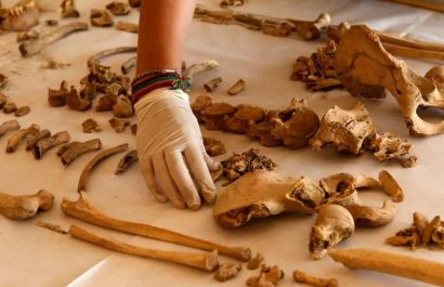 Personal de Criminalística de la Policía levantó un total de 1.385 piezas óseas que se encontraban dentro de una institución educativa, en el sector de Chimbacalle,