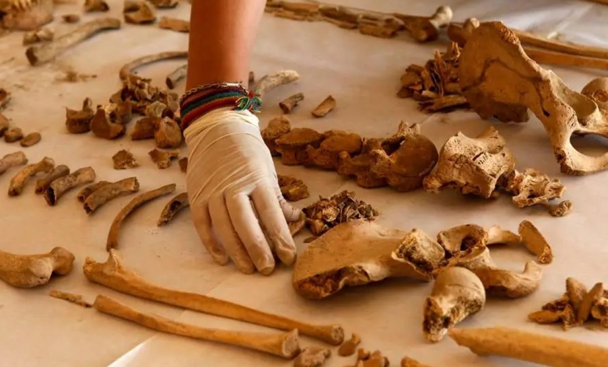 Personal de Criminalística de la Policía levantó un total de 1.385 piezas óseas que se encontraban dentro de una institución educativa, en el sector de Chimbacalle,