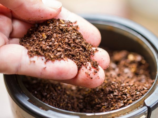 ¿Por qué deberías guardar los residuos del café filtrado en vez de tirarlos? Estás desperdiciando un tesoro para tus plantas