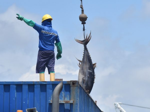 Panamá, Chile y Perú lideran la lista de los principales destinos latinoamericanos para los productos de Ecuador. Conozca las cifras y el balance comercial con la región. (API)