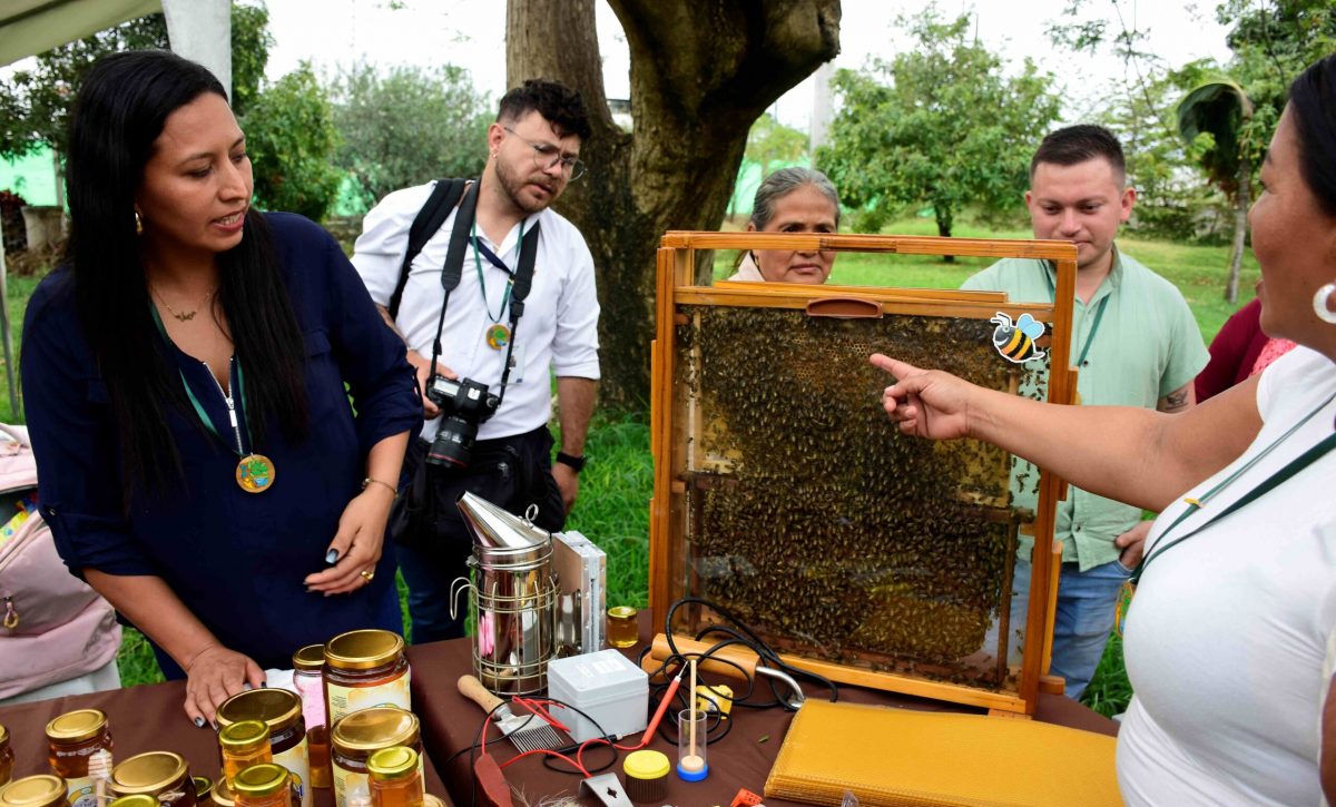 Beneficiarios del proyecto participaron en la feria que se realizó la mañana de este jueves 13 de noviembre.
