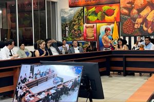 Santo Domingo subastará 27 terrenos municipales tras aprobación del Concejo