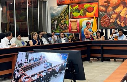 Santo Domingo subastará 27 terrenos municipales tras aprobación del Concejo