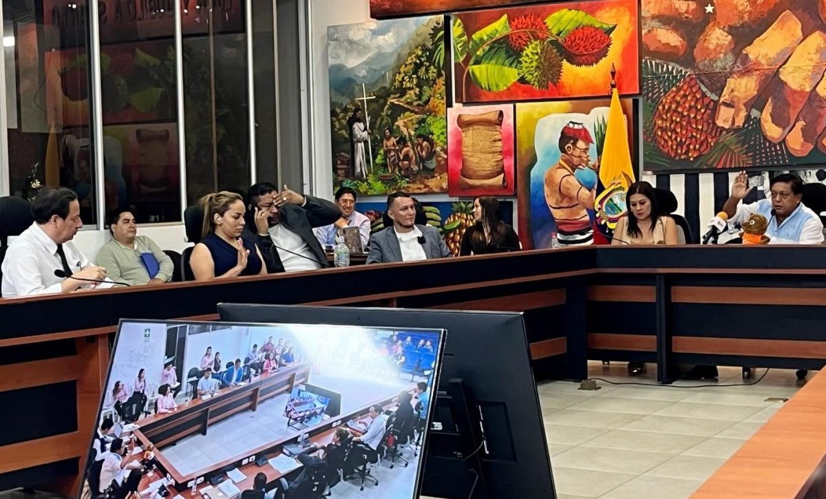 Santo Domingo subastará 27 terrenos municipales tras aprobación del Concejo