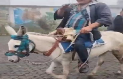 Sorpresa en Santo Domingo por ingreso de un ciudadano montado en burro a un recinto electoral