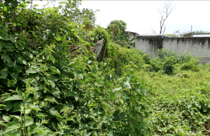 Luego de la notificación, las personas tienen diez días para realizar la limpieza de los terrenos.