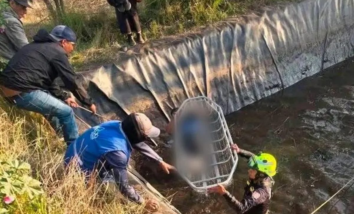 Un niño de cinco años y una niña de seis se ahogaron tras caer a un reservorio de agua en la comunidad Pull Chico, del cantón Guamote, en la provincia de Chimborazo.
