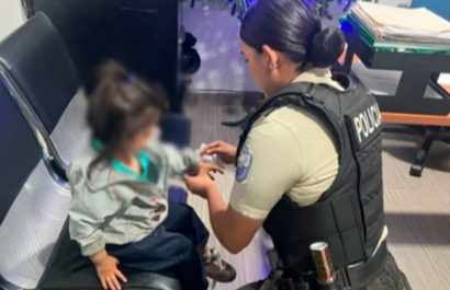 Add Post _ El Diario — WordPress