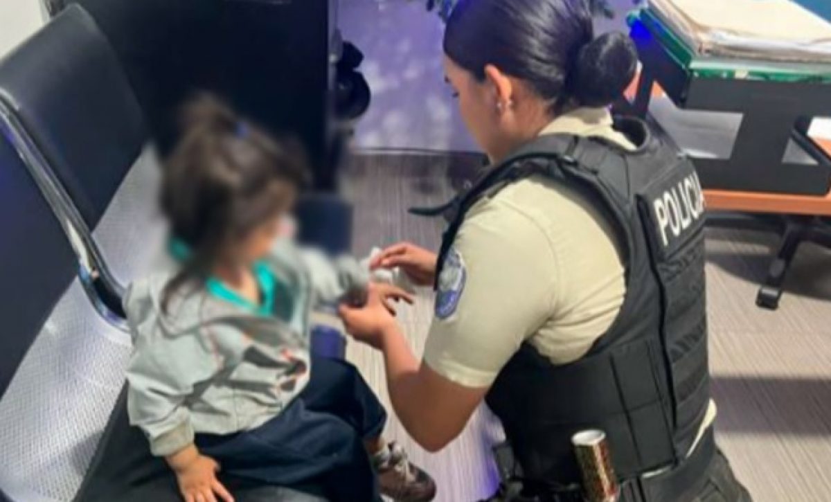 Add Post _ El Diario — WordPress