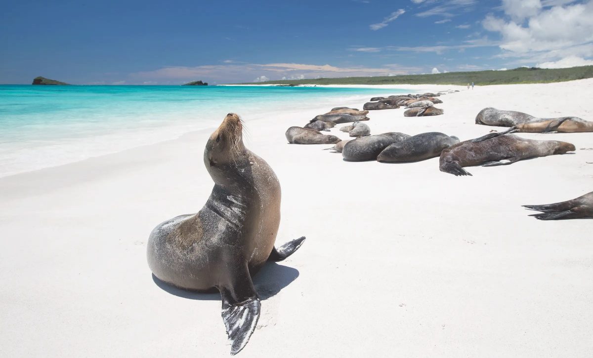 Una playa de Ecuador aparece en el ranking de las 50 mejores playas del mundo 2025