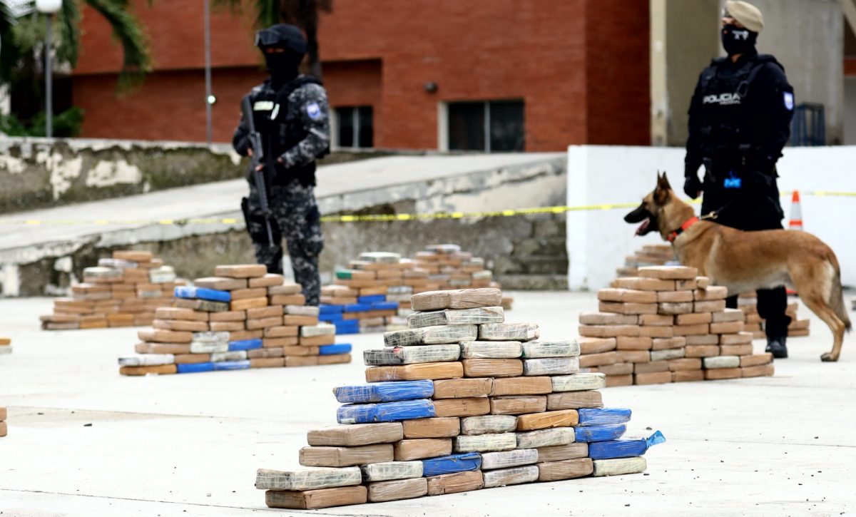 El dinero del tráfico de drogas es la base para otros delitos.