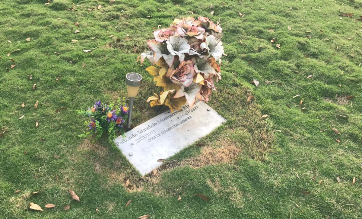 WhatsApp-Image-2021-07-13-at-17.11.57 WhatsApp-Image-2021-07-13-at-17.11.57