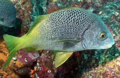 a80e5128edc56b8cff0bd109e9436bd506ccbb36w