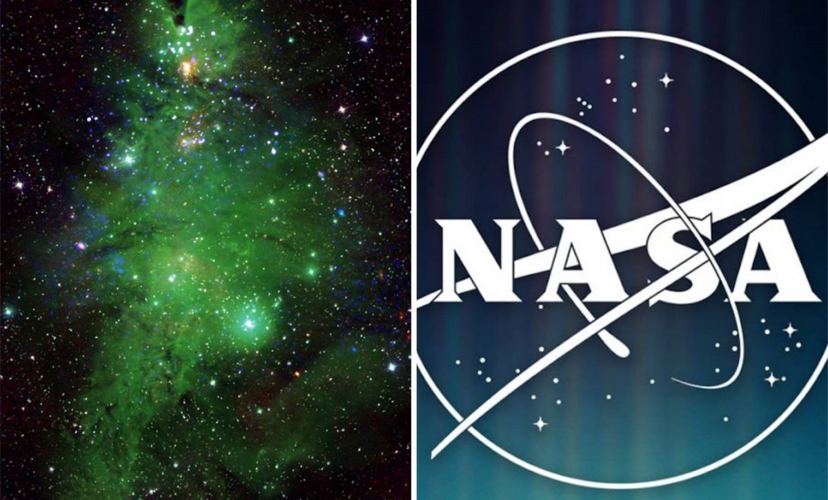 Un árbol de Navidad aparece en el espacio: la imagen científica que difundió la NASA.