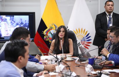 Asamblea decide informe por contratos eléctricos de Celec con Progen y ATM.