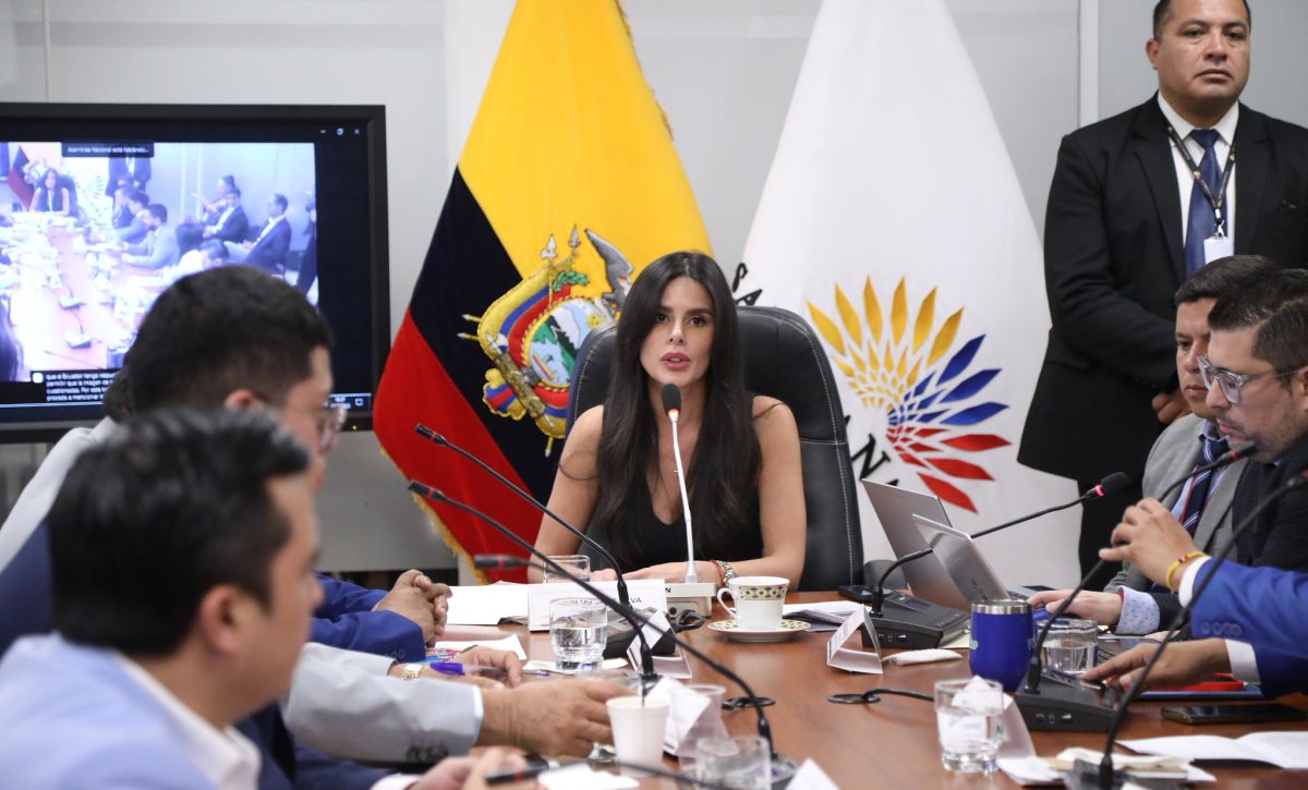 Asamblea decide informe por contratos eléctricos de Celec con Progen y ATM.