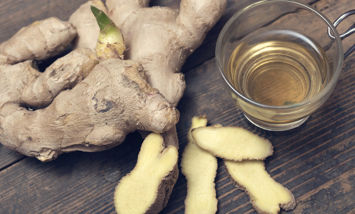 Jengibre: el rizoma que combate inflamaciones y mejora la digestión