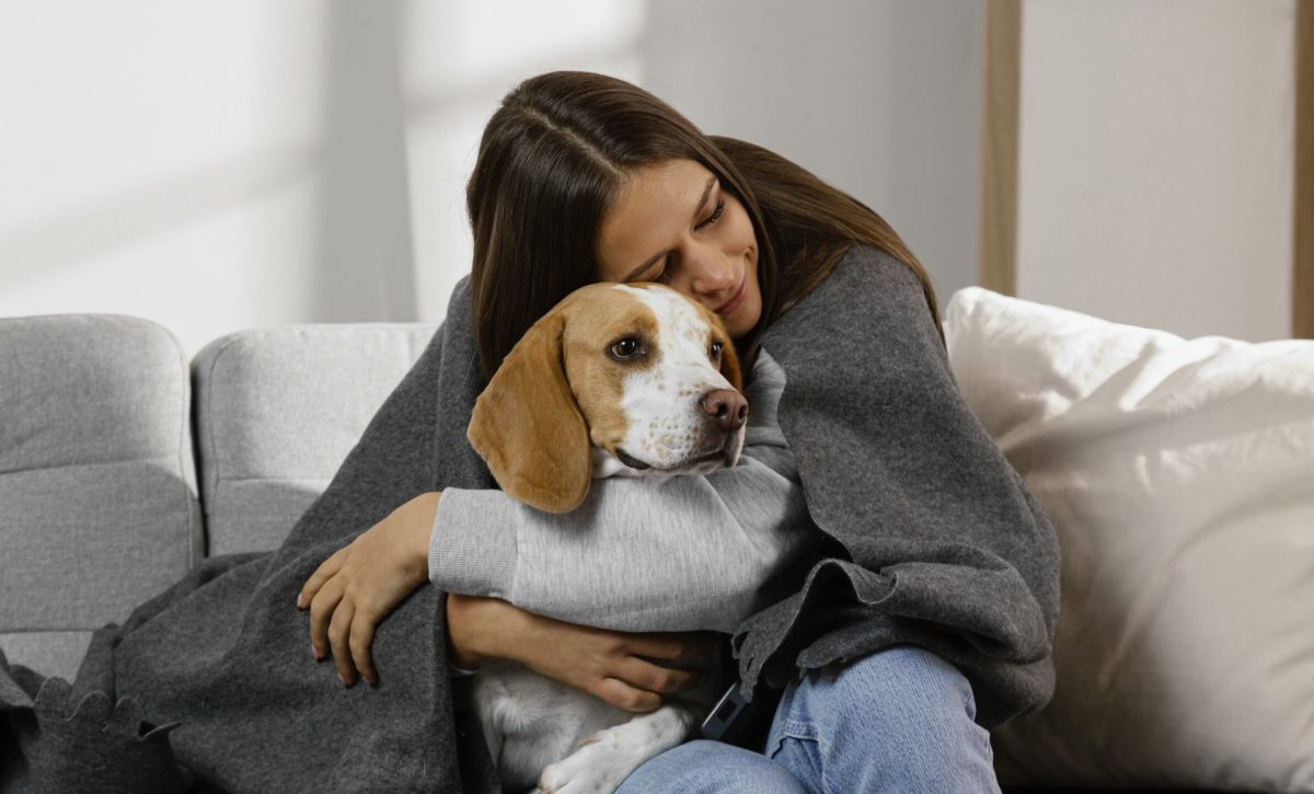Ansiedad por separación en perros y gatos, un problema creciente en los hogares