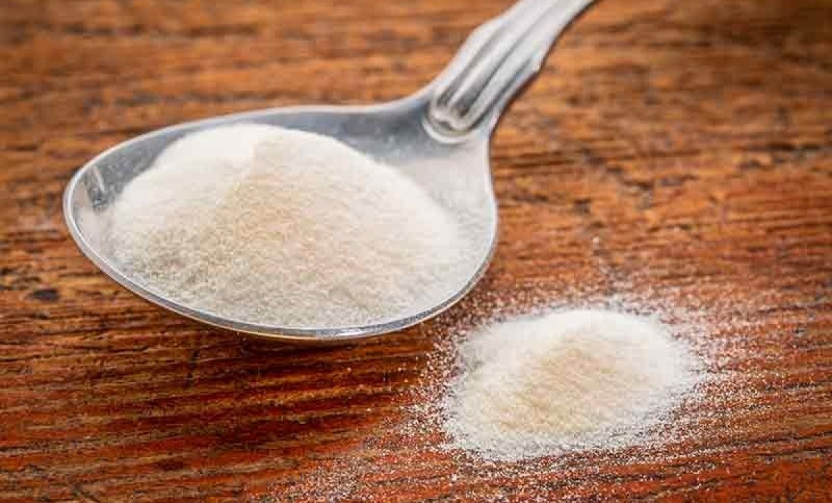 Colágeno marino: características, funciones y principales áreas de consumo