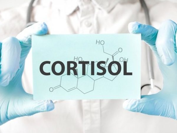 ¿Qué es el cortisol y cuál es su función en el cuerpo humano?