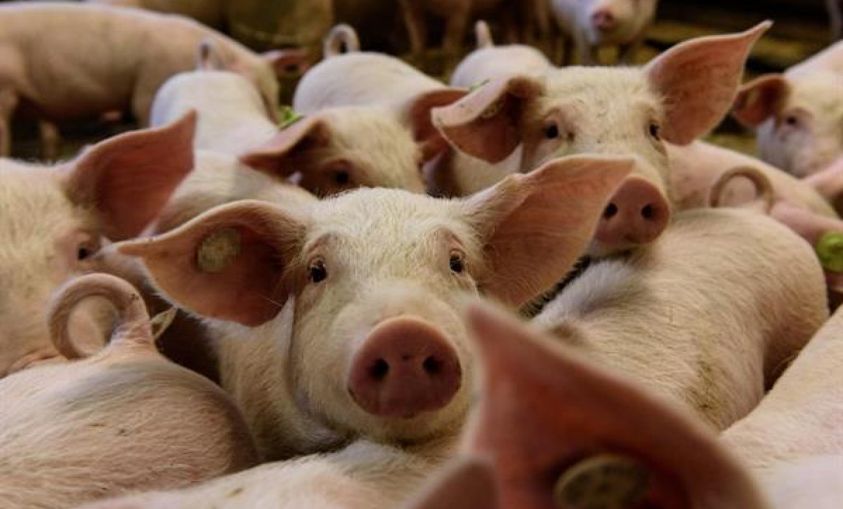 d96063aed4298089c97a4d1f9b3edaaae7b7a617m d96063aed4298089c97a4d1f9b3edaaae7b7a617m