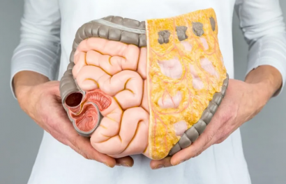 Grasa visceral: el enemigo silencioso dentro de tu cuerpo