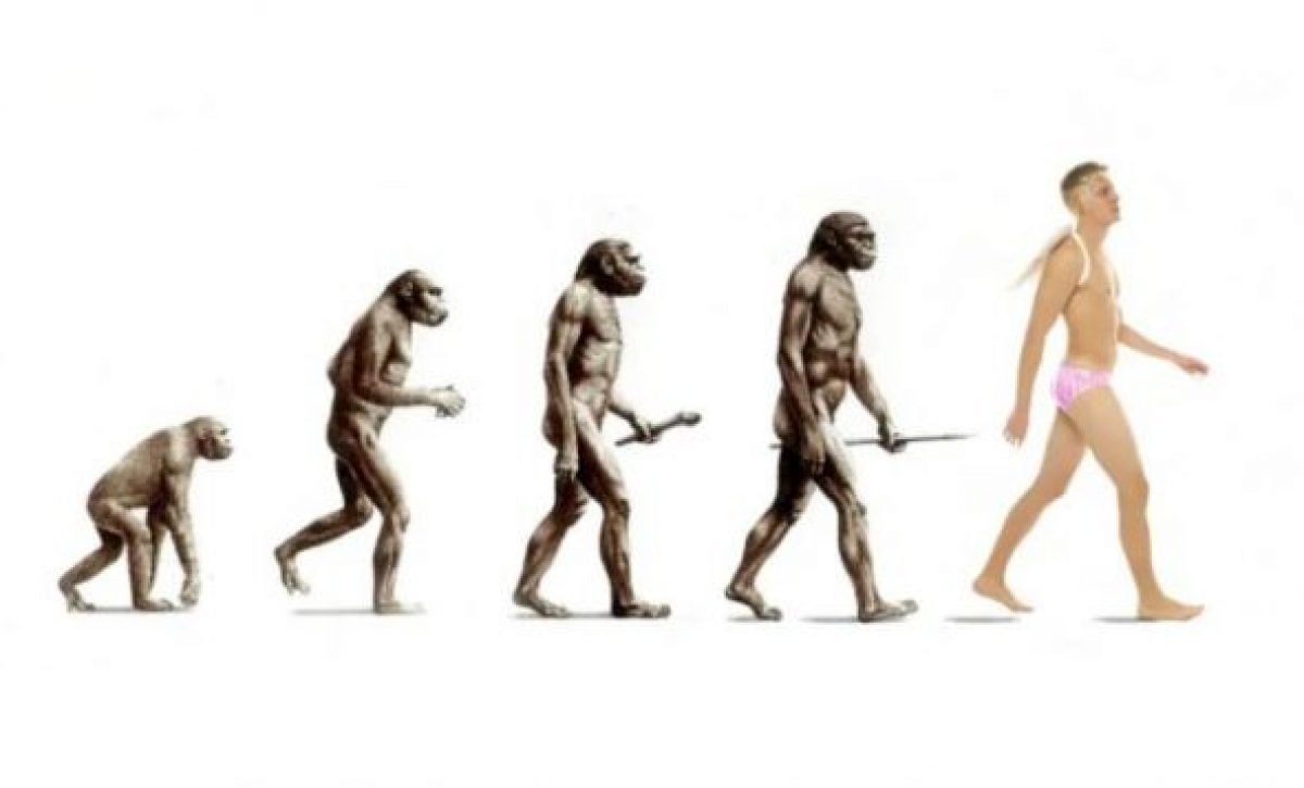 homos-desde-el-mono-635x357-1