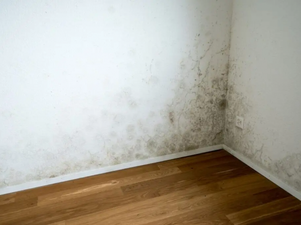 Descubre qué esconde la humedad en tu casa y cómo solucionarlo a tiempo