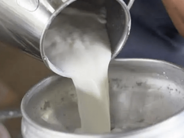 La leche ecuatoriana conquista un nuevo mercado en Centroamérica