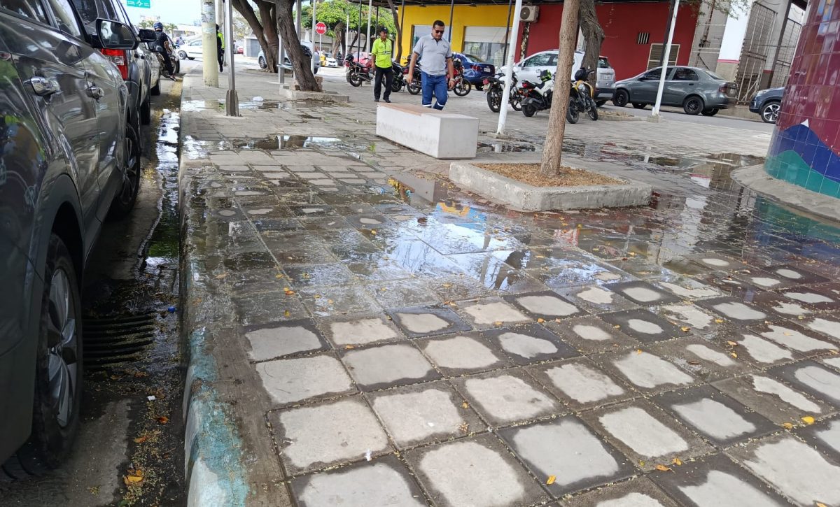 El rebose de aguas servidas, justo atrás del baño público en el parque de La Madre, fue solucionado ayer antes del mediodía, pero permaneció durante una semana.
