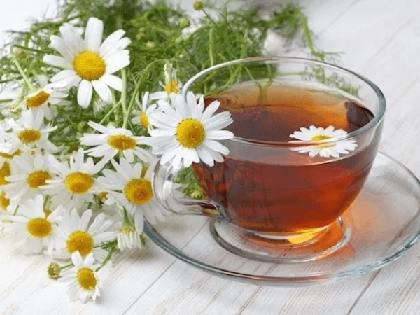 La manzanilla: una planta ancestral con nuevas aplicaciones terapéuticas