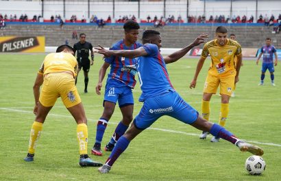 olmedo2Cdelfin2C_281629_copy