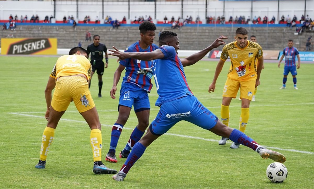 olmedo2Cdelfin2C_281629_copy