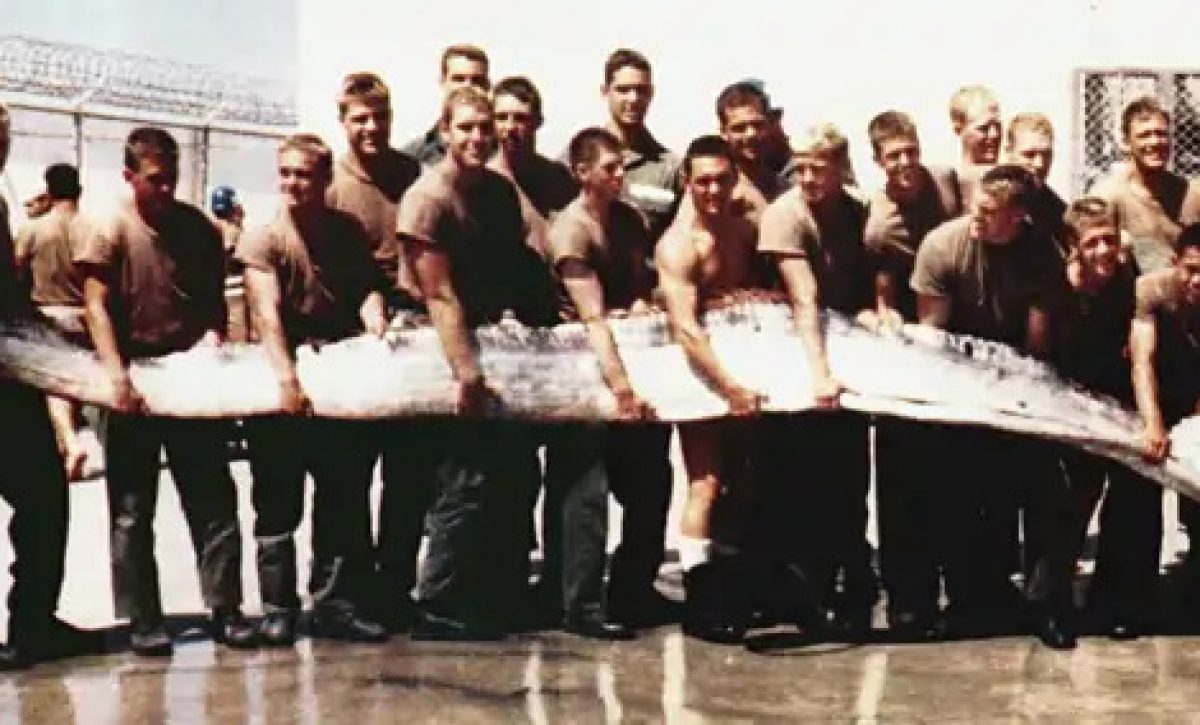 Miembros de la Armada de los Estados Unidos muestran un pez remo gigante de 7 metros descubierto por su instructor en la Bahía de San Diego en 1996.