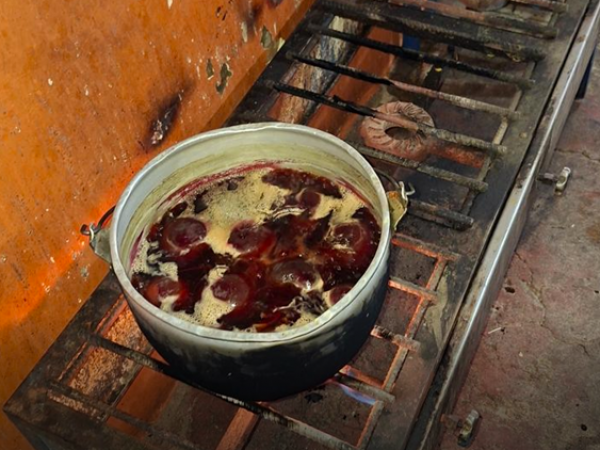 Denuncian suciedad y peligros en picantería de Rumiñahui: Arcsa toma acción inmediata