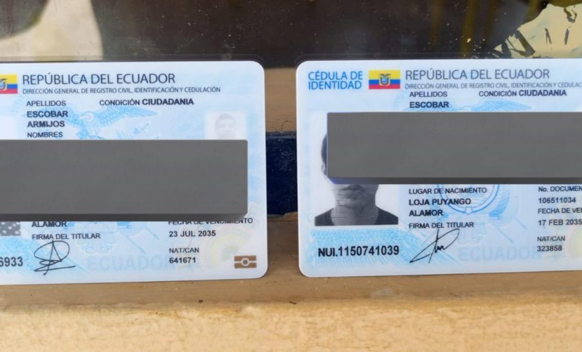 Cédulas usadas en el caso de suplantación de identidad durante el referéndum y consulta popular 2025.