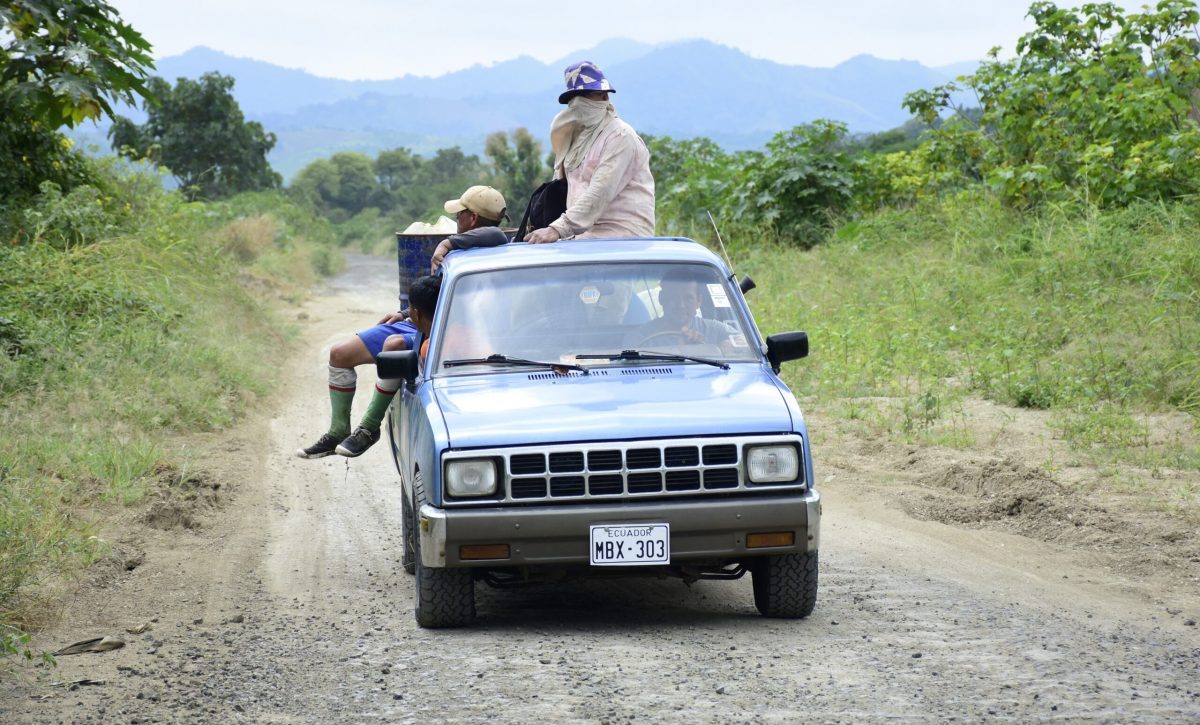 Vía Calceta-Quiroga-El Desvío recibe 16 ofertas para su contratación en Manabí.