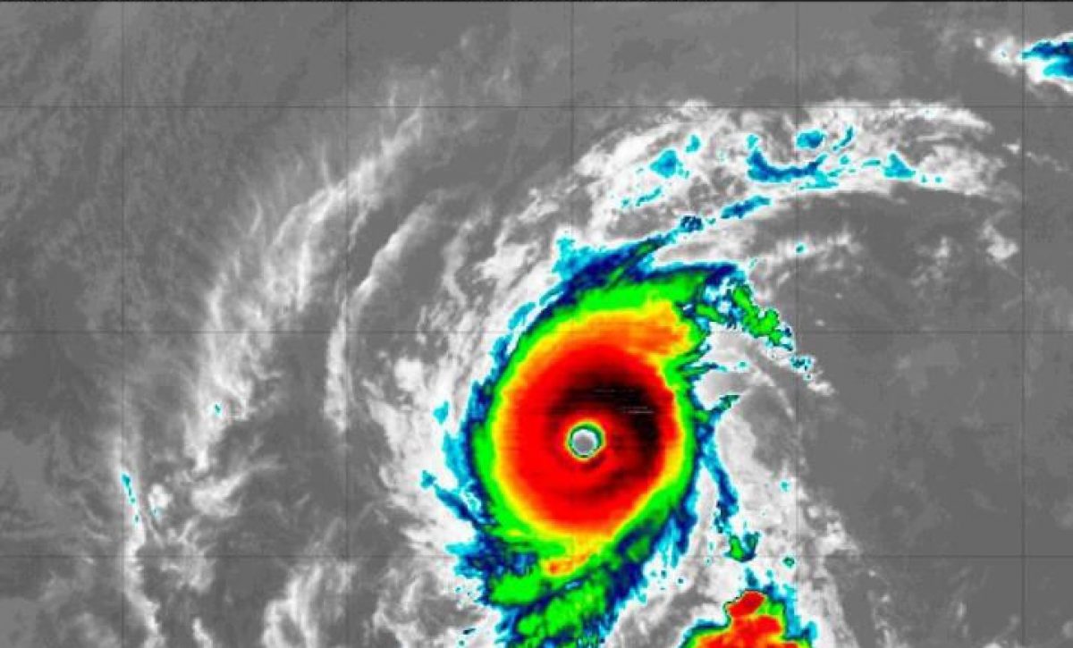 whatsapp-image-2021-08-13-at-3-05-601_6047136_20210821170221 whatsapp-image-2021-08-13-at-3-05-601_6047136_20210821170221