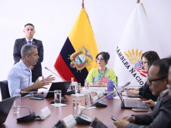 Ley de promoción y prevención psicosocial avanza por unanimidad. FOTO: @AsambleaEcuador