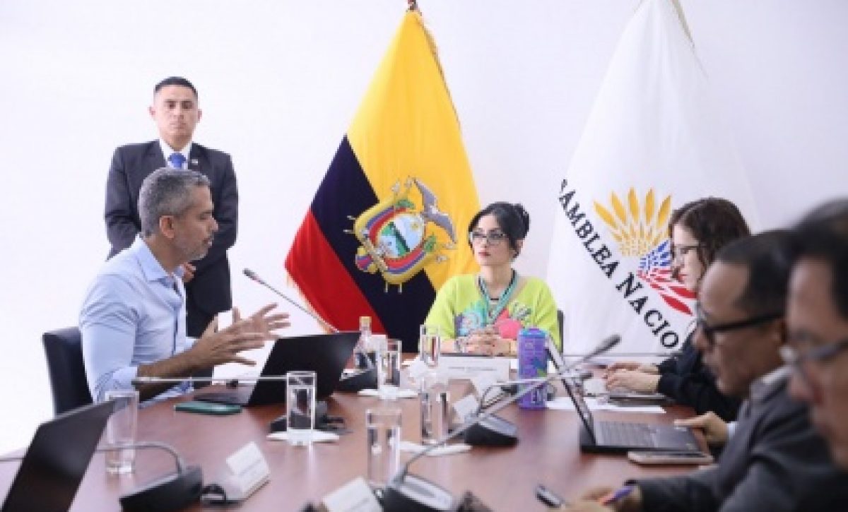 Ley de promoción y prevención psicosocial avanza por unanimidad. FOTO: @AsambleaEcuador