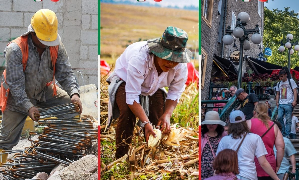 ¡Prepárate desde ya con los requisitos! Ecuatorianos podrán acceder a una de las 500 mil visas de trabajo en Italia desde 2026