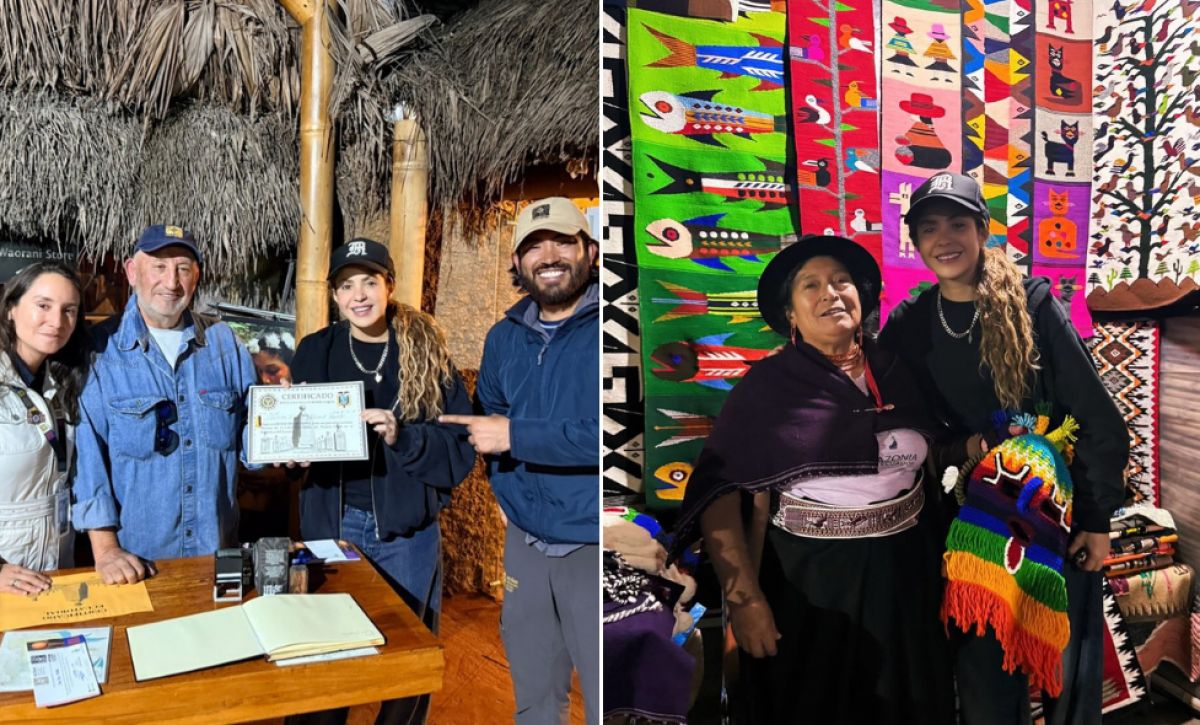 Una de las fotos que compartió el museo y la gráfica que publicó Shakira.