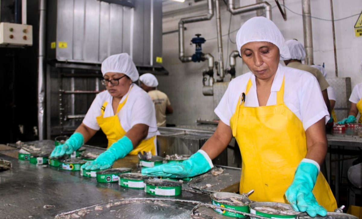 ¿Cuánto debe ganar una persona en Ecuador para cubrir sus necesidades básicas y las de su familia (Ministerio de Trabajo)